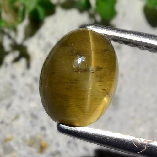 2.12ct طبيعي أصفر ترابى أباتيت عين القط, بيضوي, نصف شفاف