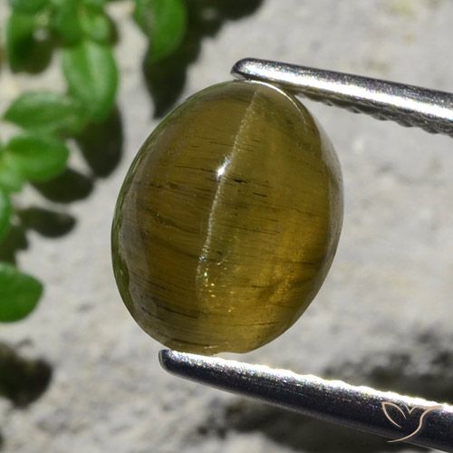 3.23ct طبيعي بنى القهوة أباتيت عين القط, بيضوي, نصف شفاف