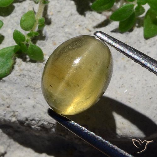 2.38ct طبيعي أصفر فاتح أباتيت عين القط, بيضوي, نصف شفاف