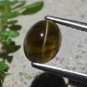 أباتيت عين القط بنى داكن-متوسط طبيعي، قصة بيضاوى، 2.01 قيراط، نصف شفاف