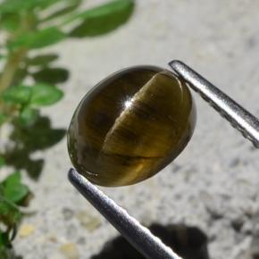 أباتيت عين القط بنى داكن-متوسط طبيعي، قصة بيضاوى، 2.01 قيراط، نصف شفاف