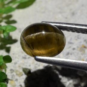 أباتيت عين القط بنى داكن-متوسط طبيعي، قصة بيضاوى، 2.01 قيراط، نصف شفاف