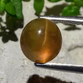 أباتيت عين القط برتقالي طبيعي، قصة دائرى، 2.17 قيراط، نصف شفاف