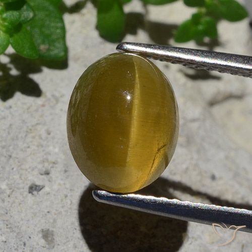 3.87ct طبيعي أصفر ترابى أباتيت عين القط, بيضوي, نصف شفاف