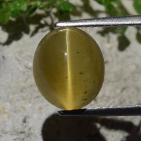 أباتيت عين القط أخضر ذهبى طبيعي، قصة بيضاوى، 4.46 قيراط، نصف شفاف