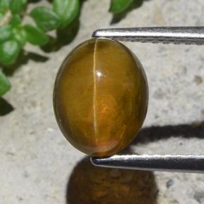 Cat's Eye Apatite طبيعي بلون أخضر ذهبي، وزن ‎2.93‎ قيراط، شكل بيضاوى، مقاس ‎9.1x7.3‎ مم
