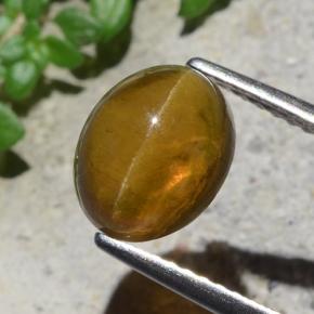 Cat's Eye Apatite طبيعي بلون أخضر ذهبي، وزن ‎2.93‎ قيراط، شكل بيضاوى، مقاس ‎9.1x7.3‎ مم