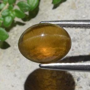 Cat's Eye Apatite طبيعي بلون أخضر ذهبي، وزن ‎2.93‎ قيراط، شكل بيضاوى، مقاس ‎9.1x7.3‎ مم