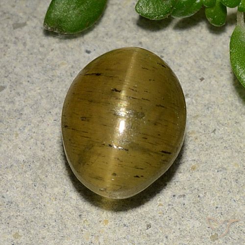 4.09ct طبيعي بنى مصفر أباتيت عين القط, بيضوي, نصف شفاف