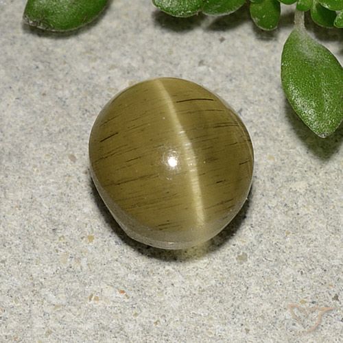 2.70ct طبيعي أصفر متوسط أباتيت عين القط, بيضوي, نصف شفاف
