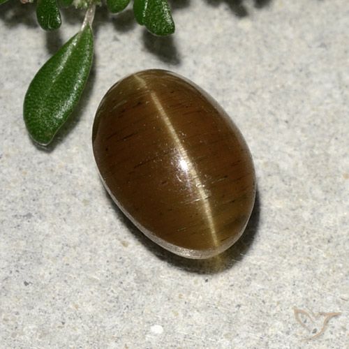 أباتيت عين القط بنى دافئ طبيعي، قصة بيضاوى، 2.64 قيراط، نصف شفاف