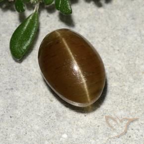 أباتيت عين القط بنى دافئ طبيعي، قصة بيضاوى، 2.64 قيراط، نصف شفاف