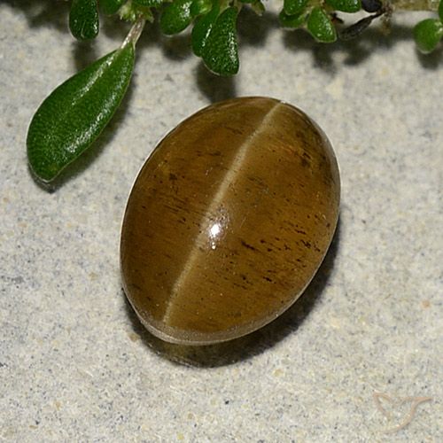 3.10ct طبيعي بنى دافئ أباتيت عين القط, بيضوي, نصف شفاف