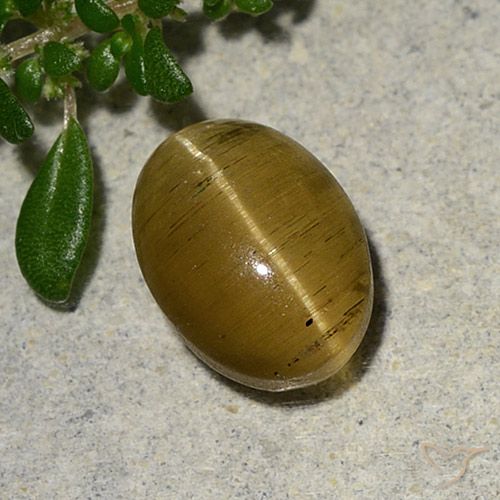 2.46ct طبيعي أصفر بنى أباتيت عين القط, بيضوي, نصف شفاف