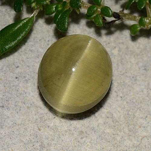 3.09ct طبيعي أصفر ترابى أباتيت عين القط, بيضوي, نصف شفاف