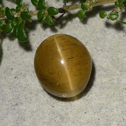 Cat's Eye Apatite طبيعي بلون ذهبي بني، وزن ‎2.60‎ قيراط، شكل بيضاوى، مقاس ‎7.7x6.9‎ مم