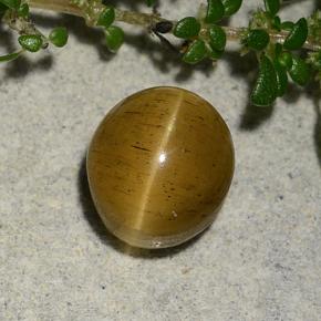 Cat's Eye Apatite طبيعي بلون ذهبي بني، وزن ‎2.60‎ قيراط، شكل بيضاوى، مقاس ‎7.7x6.9‎ مم