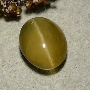 أباتيت عين القط أخضر ذهبى طبيعي، قصة بيضاوى، 3.72 قيراط، نصف شفاف