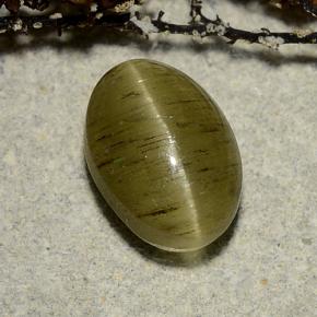 Cat's Eye Apatite طبيعي بلون أصفر أخضر، وزن ‎3.32‎ قيراط، شكل بيضاوى، مقاس ‎10x7‎ مم