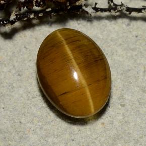Cat's Eye Apatite طبيعي بلون بني مصفر، وزن ‎3.23‎ قيراط، شكل بيضاوى، مقاس ‎9.8x7.4‎ مم