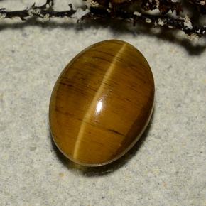 Cat's Eye Apatite طبيعي بلون بني مصفر، وزن ‎3.23‎ قيراط، شكل بيضاوى، مقاس ‎9.8x7.4‎ مم
