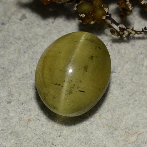 3.68ct طبيعي أصفر محايد أباتيت عين القط, بيضوي, نصف شفاف