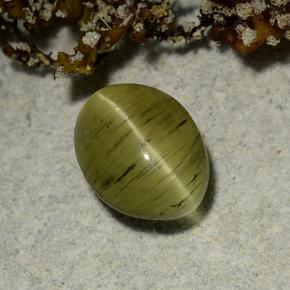 أباتيت عين القط أخضر ترابى طبيعي، قصة بيضاوى، 2.65 قيراط، نصف شفاف