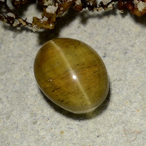 2.50ct طبيعي بنى مصفر أباتيت عين القط, بيضوي, نصف شفاف