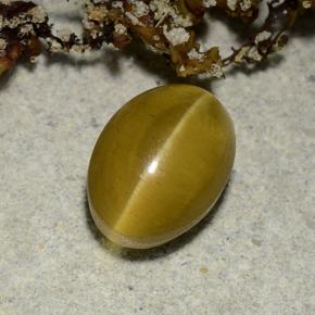 أباتيت عين القط ذهبي طبيعي، قصة بيضاوى، 2.40 قيراط، نصف شفاف