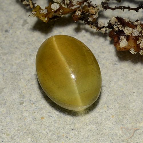 Cat's Eye Apatite طبيعي بلون أصفر ترابى، وزن ‎2.68‎ قيراط، شكل بيضاوى، مقاس ‎9.1x6.7‎ مم