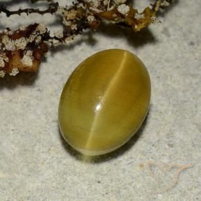 Cat's Eye Apatite طبيعي بلون أصفر ترابى، وزن ‎2.68‎ قيراط، شكل بيضاوى، مقاس ‎9.1x6.7‎ مم