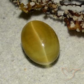 Cat's Eye Apatite طبيعي بلون أصفر ترابى، وزن ‎2.68‎ قيراط، شكل بيضاوى، مقاس ‎9.1x6.7‎ مم