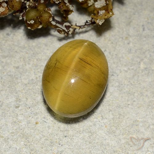 2.82ct طبيعي بنى مصفر أباتيت عين القط, بيضوي, نصف شفاف