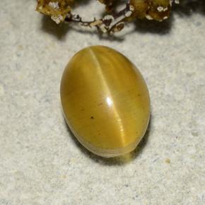 Cat's Eye Apatite طبيعي بلون ذهبي مخضر، وزن ‎2.57‎ قيراط، شكل بيضاوى، مقاس ‎8.7x6.4‎ مم
