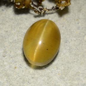 Cat's Eye Apatite طبيعي بلون ذهبي مخضر، وزن ‎2.57‎ قيراط، شكل بيضاوى، مقاس ‎8.7x6.4‎ مم