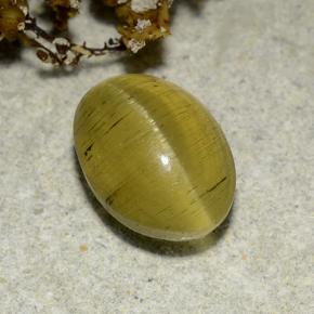 Cat's Eye Apatite طبيعي بلون بني ذهبي، وزن ‎2.83‎ قيراط، شكل بيضاوى، مقاس ‎9.4x6.8‎ مم
