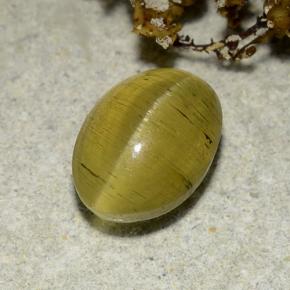 Cat's Eye Apatite طبيعي بلون بني ذهبي، وزن ‎2.83‎ قيراط، شكل بيضاوى، مقاس ‎9.4x6.8‎ مم