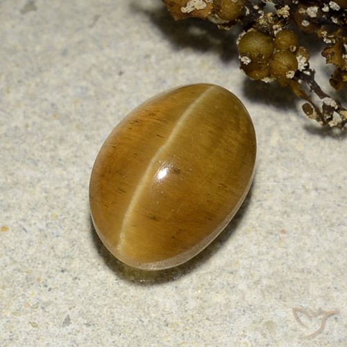 3.48ct طبيعي بني ذهبي أباتيت عين القط, بيضوي, نصف شفاف