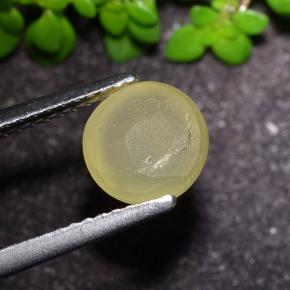 أباتيت عين القط أصفر ترابى طبيعي، قصة دائرى، 2.17 قيراط، نصف شفاف