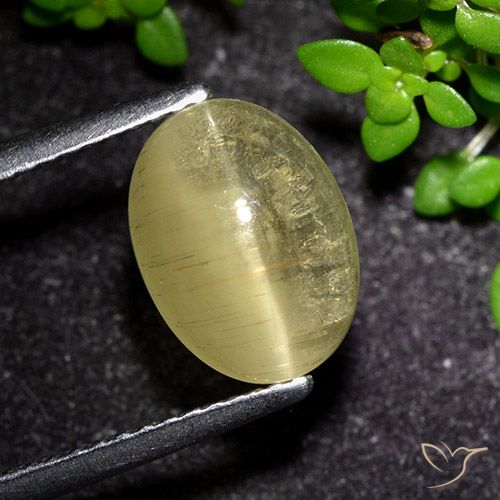 3.09ct طبيعي أصفر متوسط أباتيت عين القط, بيضوي, شفاف