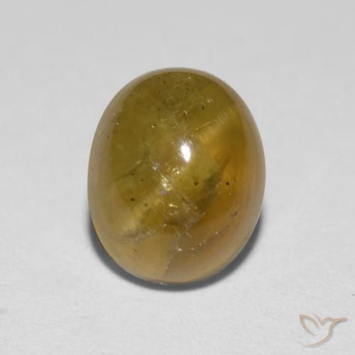 1.76ct طبيعي أصفر بنى أباتيت عين القط, بيضوي, نصف شفاف