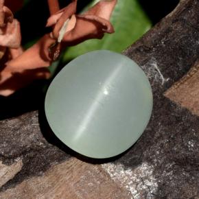 زبرجد عين القطة Light Bluish Green  طبيعي، قصة بيضاوى، 7.75 قيراط، نصف شفاف