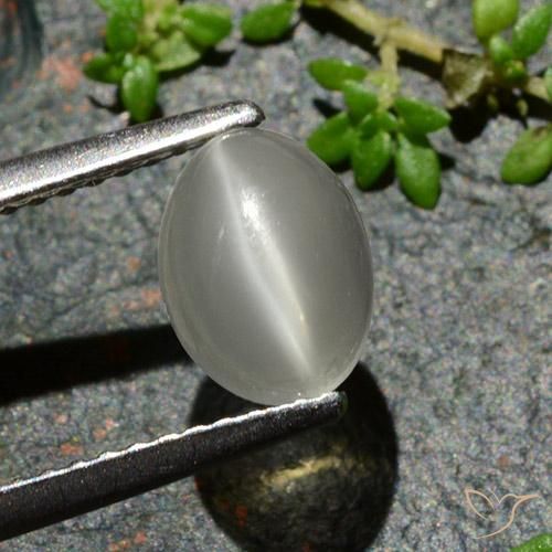 1.02ct طبيعي أبيض دافئ حجر القمر عين القط, بيضوي, نصف شفاف