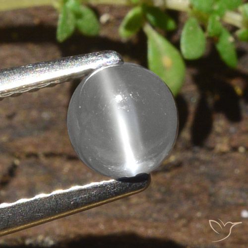 0.84ct طبيعي أبيض حجر القمر عين القط, دائري, نصف شفاف