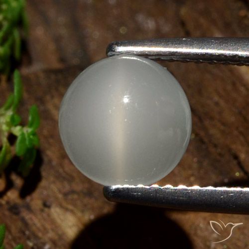 2.09ct طبيعي أبيض دافئ حجر القمر عين القط, دائري, نصف شفاف