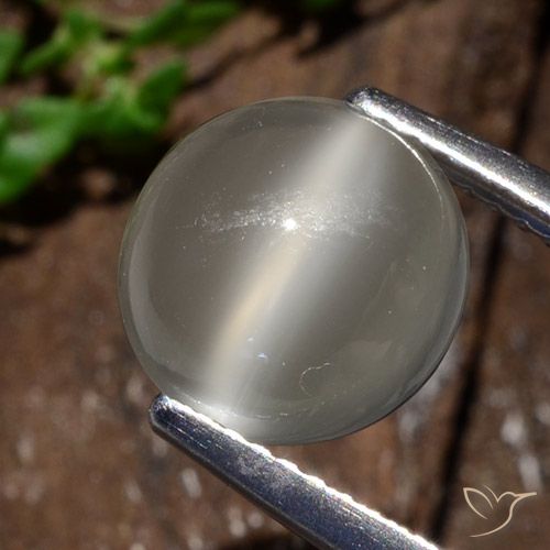 3.25ct طبيعي أبيض دافئ حجر القمر عين القط, دائري, نصف شفاف