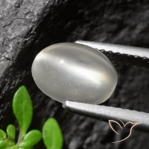 حجر القمر عين القط أبيض طبيعي، قصة بيضاوى، 1.94 قيراط، شفاف