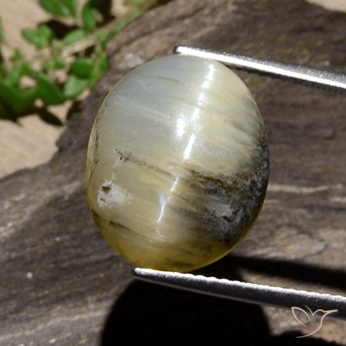 11.91ct طبيعي أصفر بنى أوبال عين القط, بيضوي, غير شفاف