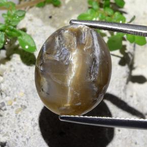 Cat's Eye Opal طبيعي بلون بني فاتح، وزن ‎12.43‎ قيراط، شكل بيضاوى، مقاس ‎16.7x13.7‎ مم