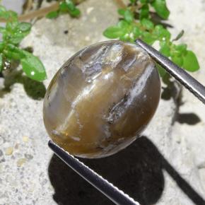Cat's Eye Opal طبيعي بلون بني فاتح، وزن ‎12.43‎ قيراط، شكل بيضاوى، مقاس ‎16.7x13.7‎ مم
